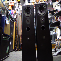 <p>Lovely speakers with a well-balanced, smooth frequency response.</p><p>Controlled and musical bass end, well-defined top-end.</p><p>A few light marks (pictured), otherwise good condition.&nbsp;</p><p>With front grilles.</p><p>Dimensions: 240 x 800 x 270 mm<br />Weight: 15,5 kg<br />Type: 2-way bass reflex, floorstanding speaker<br />Woofer: 200 mm<br />Tweeter: 25 mm dome tweeter<br /><br /></p>
