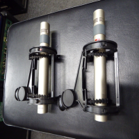 A great matched pair of two small diaphragm condenser microphones.<br />Perfect for strings, acoustic guitars and pianos.<br />The sE1a uses a capsule built and tested by the same skilled technicians as the more expensive sE5 and Rupert Neve Signature RN17 SDCs, housed in a chassis alongside super-quiet electronics.&nbsp;<br /><br />