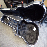 High quality acoustic hard case in near mint condition.